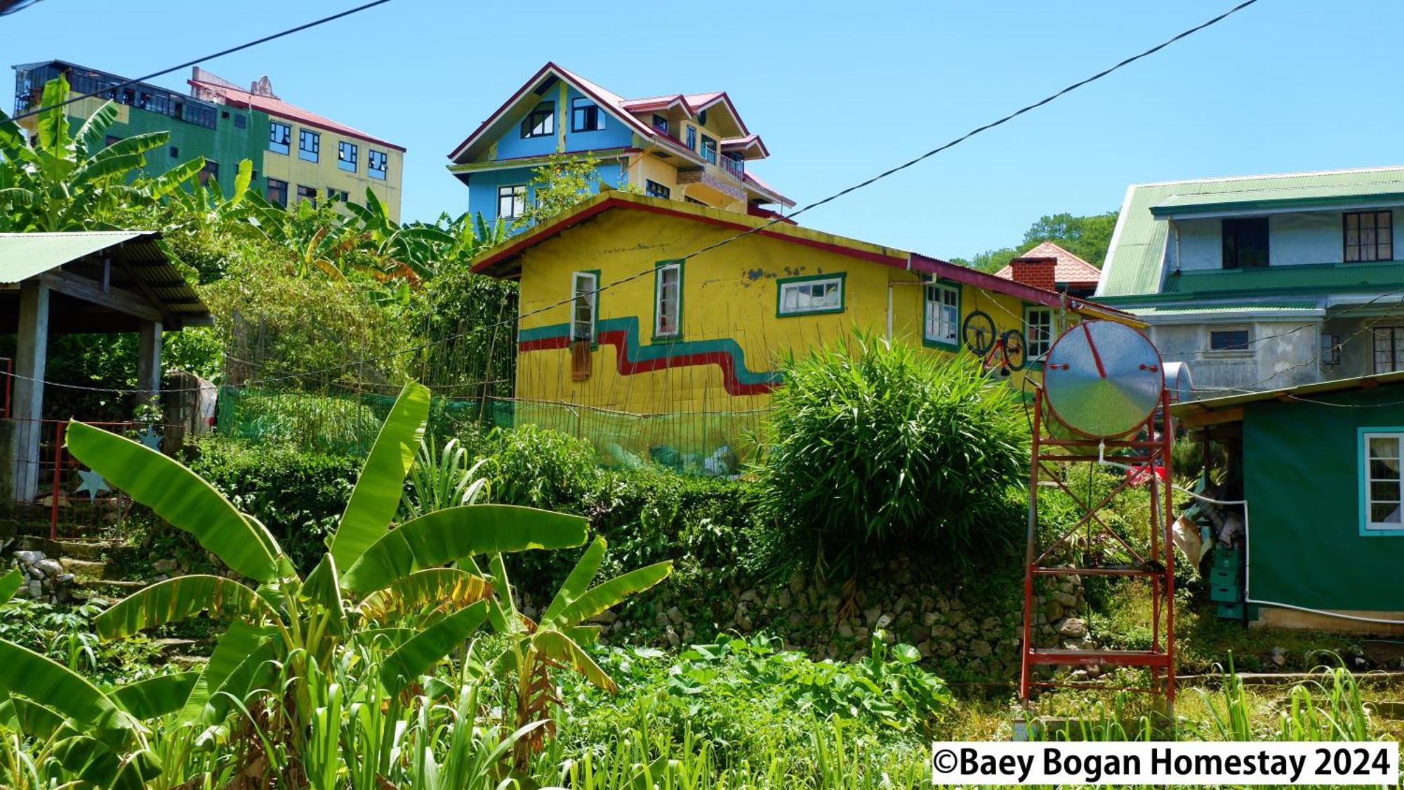 Baey Bogan Homestay 萨加达 外观 照片