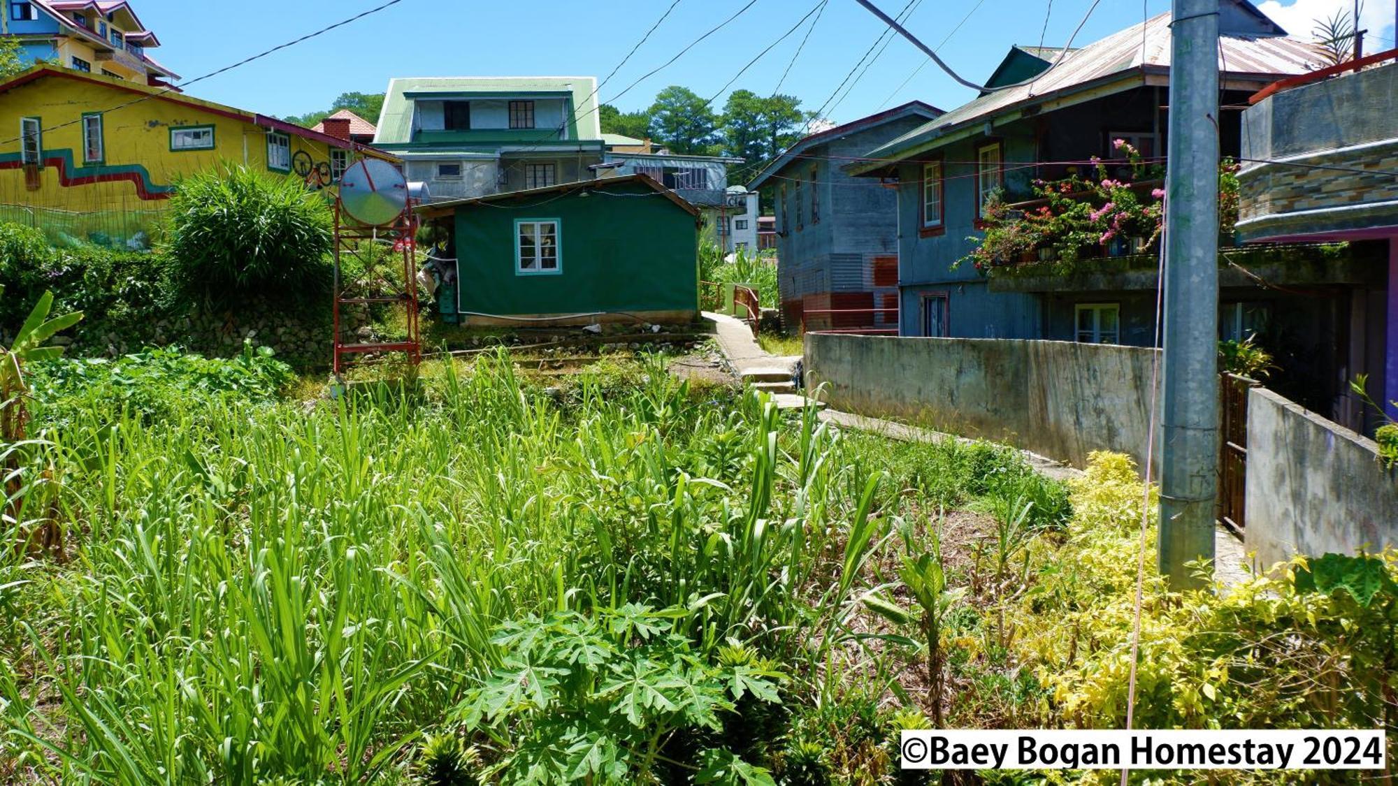 Baey Bogan Homestay 萨加达 外观 照片