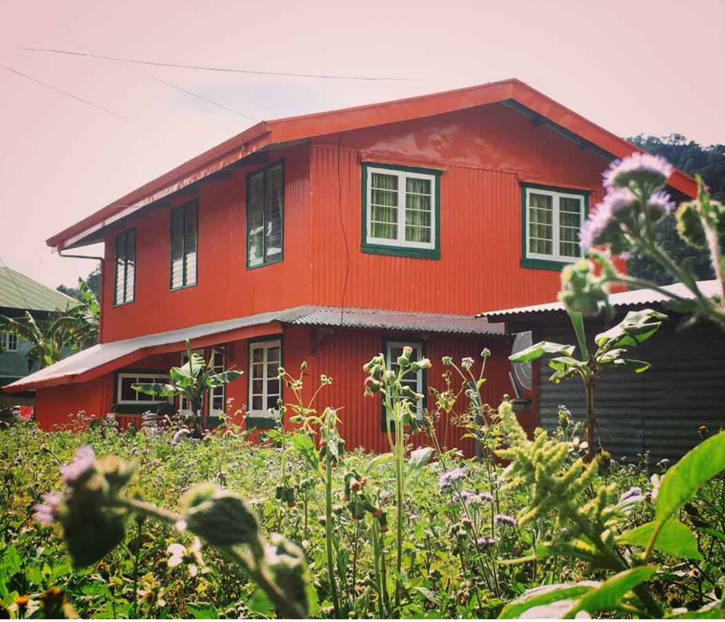 Baey Bogan Homestay 萨加达 外观 照片